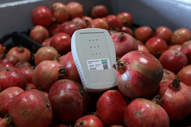 Bu ürün meyve, sebze ve çiçekleri uyutup raf ömrünü uzatıyor