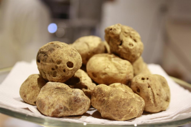 Foto - Bu ürünleri yemek için cesaretinizi toplasanız bile önce bankadan kredi çekmeniz gerekecek!