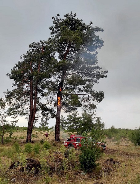 Foto - Bu yangınlara yaz yağmurları yol açıyor