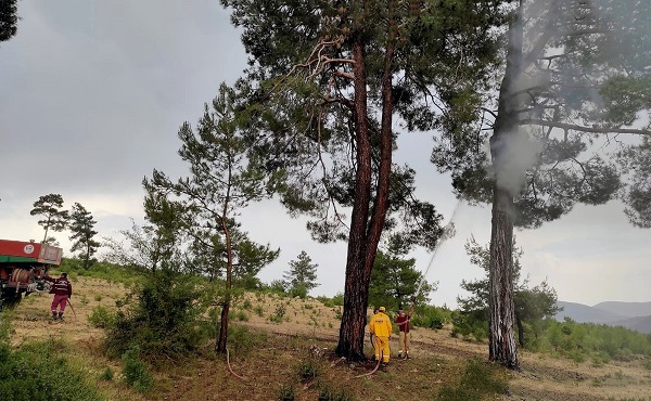 Foto - Bu yangınlara yaz yağmurları yol açıyor
