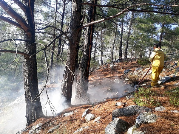 Foto - Bu yangınlara yaz yağmurları yol açıyor