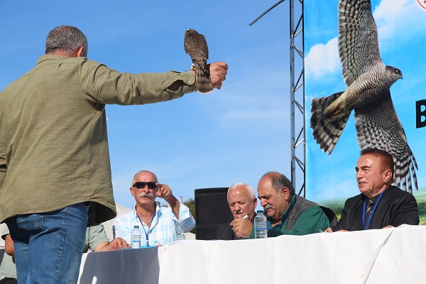 Foto - Bu yarışmada en güzel atmacalar seçildi