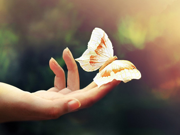 Foto - Bu yasaklara inanamayacaksınız