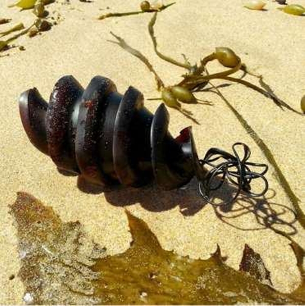Foto - Bu yavru aslında dünyanın en tehlikeli canlısı!