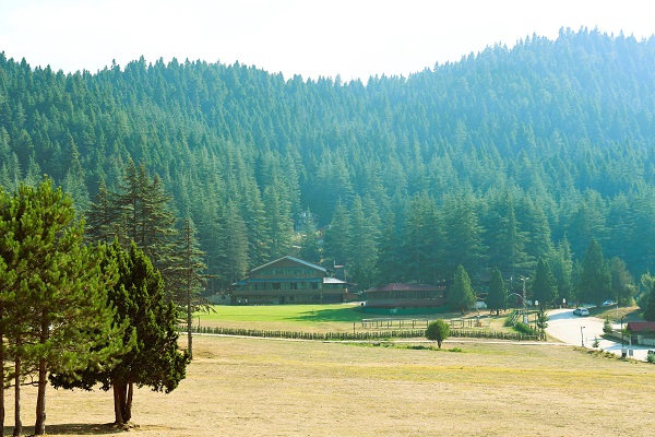 Bu yayla görenleri mest ediyor