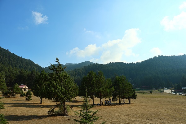 Foto - Bu yayla görenleri mest ediyor