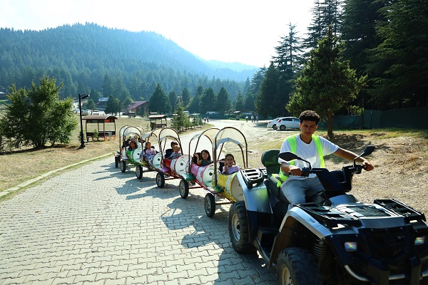 Foto - Bu yayla görenleri mest ediyor