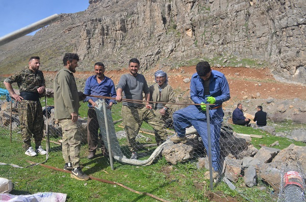 Foto - Bu yaylalarda terör yerini huzura bıraktı
