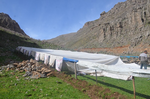 Foto - Bu yaylalarda terör yerini huzura bıraktı