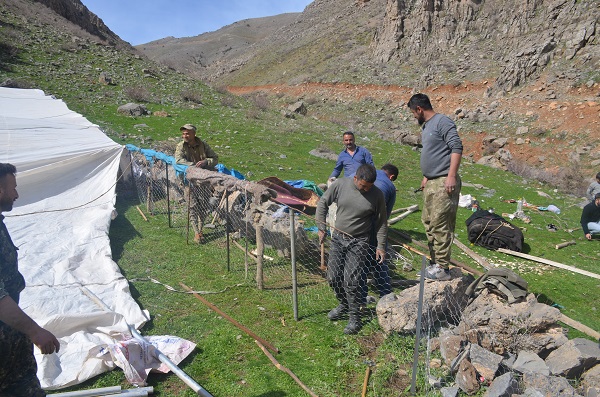 Foto - Bu yaylalarda terör yerini huzura bıraktı