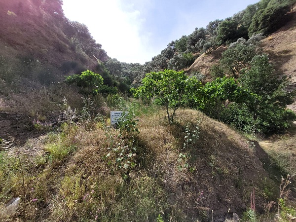 Foto - Bu yazı görenlerin içini ısıttı