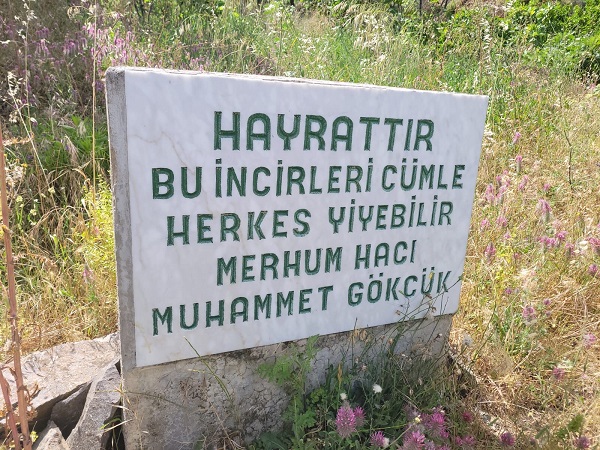 Foto - Bu yazı görenlerin içini ısıttı