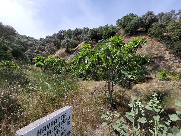 Foto - Bu yazı görenlerin içini ısıttı