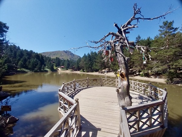 Foto - Bu yıl binlerce kişi bu tabiat parkına akın etti