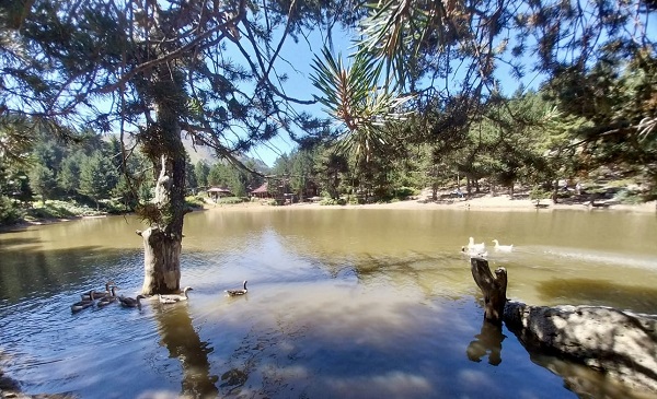 Bu yıl binlerce kişi bu tabiat parkına akın etti