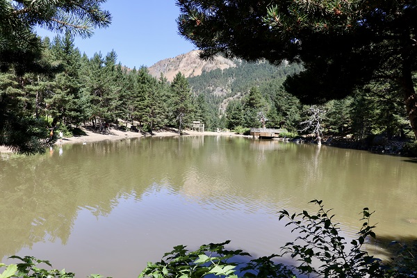 Foto - Bu yıl binlerce kişi bu tabiat parkına akın etti