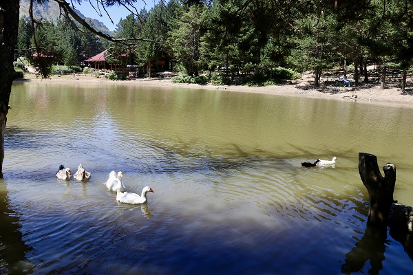 Foto - Bu yıl binlerce kişi bu tabiat parkına akın etti