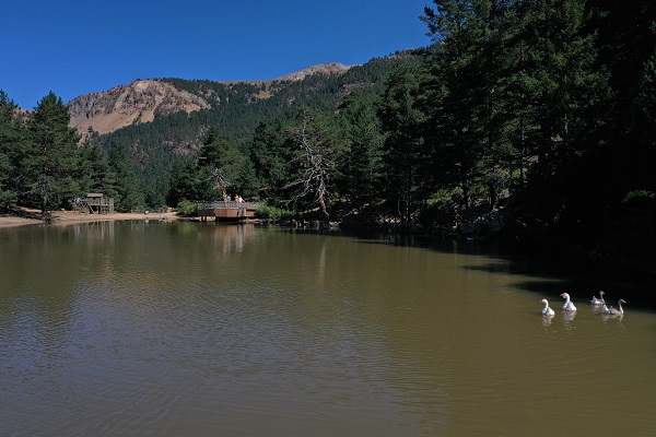 Foto - Bu yıl binlerce kişi bu tabiat parkına akın etti