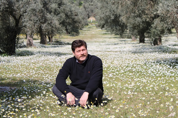 Foto - Bu yıl kar değil papatyalar şehri beyaza bürüdü