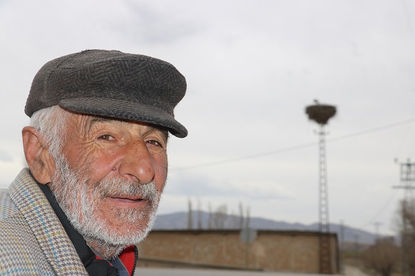 Foto - Bu yıl leyleklerin kafası karıştı