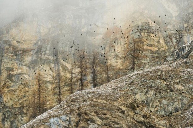 Foto - Yılın en vahşi yaşam fotoğrafları seçildi