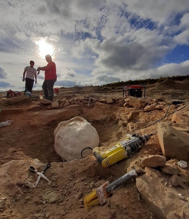 Foto - Bu yırtıcı, korkunç kafa: Önce Güney Amerika'ya hükmetti! Dönemi: 265 milyon yıllık bir fosil bulundu! Paylaşım yapıldı