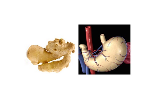 Bu yiyecekler benzedikleri organa iyi geliyor!