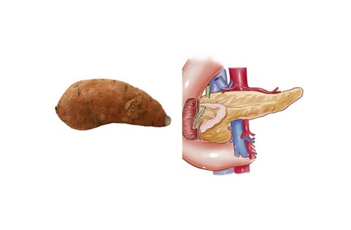 Foto - Bu yiyecekler benzedikleri organa iyi geliyor!