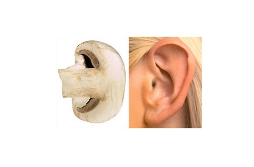 Foto - Bu yiyecekler benzedikleri organa iyi geliyor!