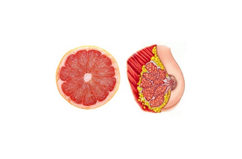 Foto - Bu yiyecekler benzedikleri organa iyi geliyor!