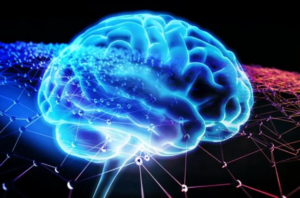 Foto - Bu yiyecekler beyin sağlığınızı mahvediyor