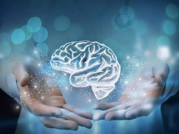 Foto - Bu yiyecekler beyin sağlığınızı mahvediyor