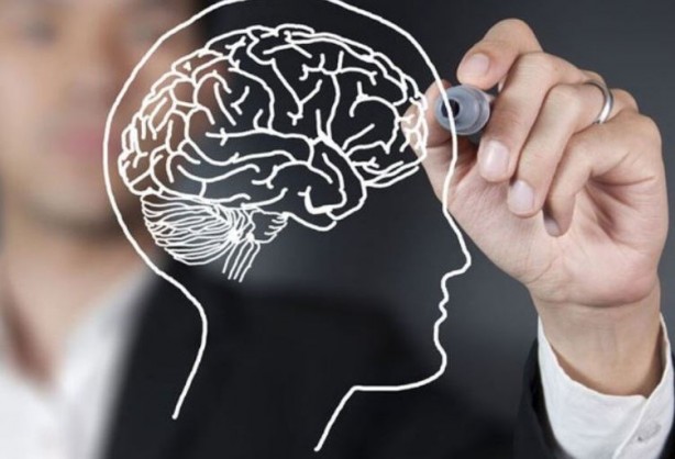 Foto - Bu yiyecekler beyin sağlığınızı mahvediyor