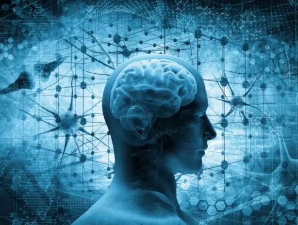 Foto - Bu yiyecekler beyin sağlığınızı mahvediyor