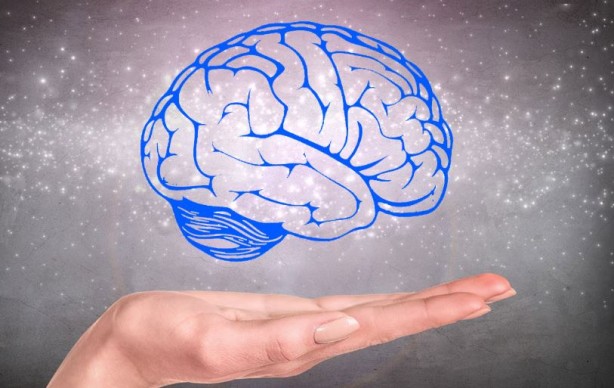 Foto - Bu yiyecekler beyin sağlığınızı mahvediyor