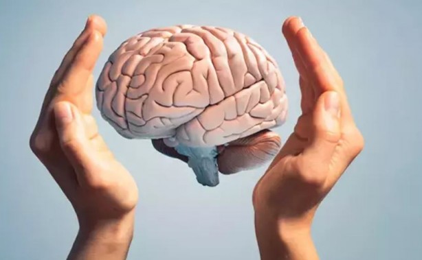 Foto - Bu yiyecekler beyin sağlığınızı mahvediyor