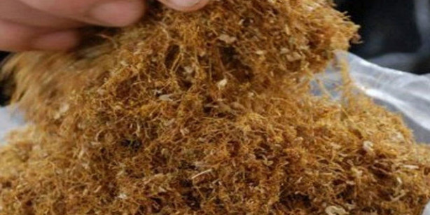 Foto - Bu yiyecekler beyne zarar veriyor!