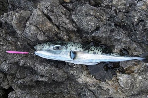 Foto - Bu yiyecekler ölümcül tehlike taşıyor!