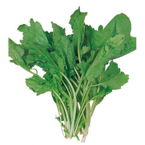 Foto - Bu yiyecekler sigarayı bıraktırıyor