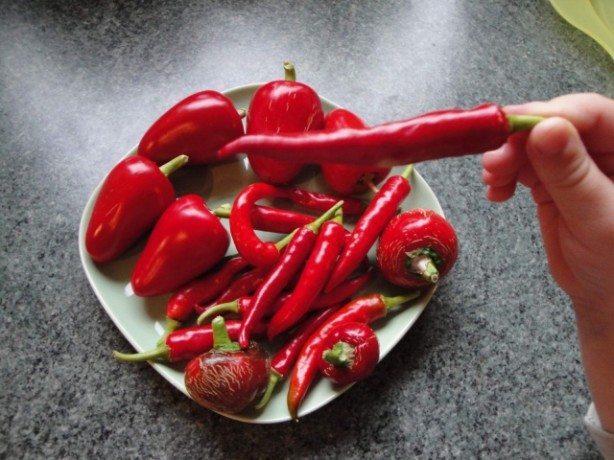 Foto - Bu yiyecekler sigarayı bıraktırıyor