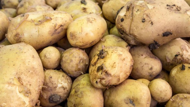 Foto - Uzmanlar bu yiyecekler konusunda vatandaşları uyarıyor