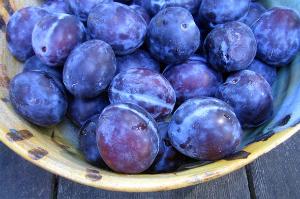 Foto - Bu yiyecekleri düzenli olarak tüketmeniz gerekiyor
