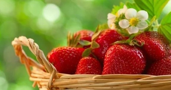 Foto - Bu yiyecekleri evinize bile sokmayın!