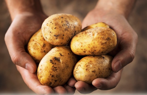 Foto - Bu yiyecekleri sakın buzdolabına koymayın!