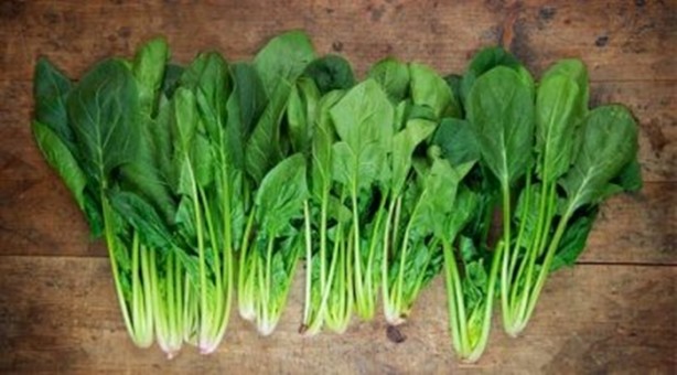 Foto - Bu yiyecekleri sakın tekrar ısıtmayın!