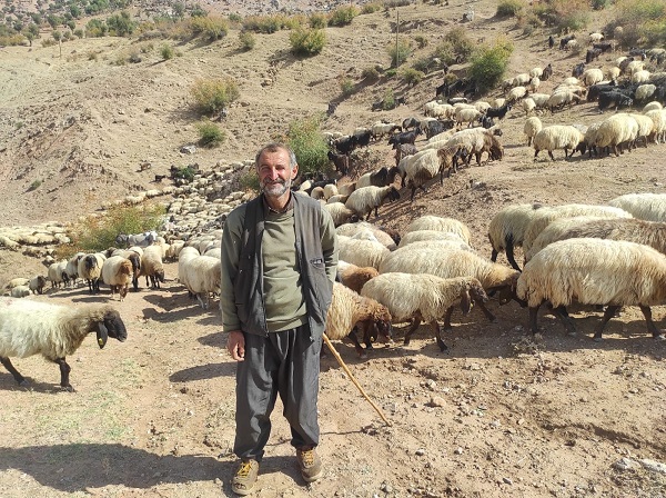 Foto - Bu yolculuk tam 2 ay sürüyor
