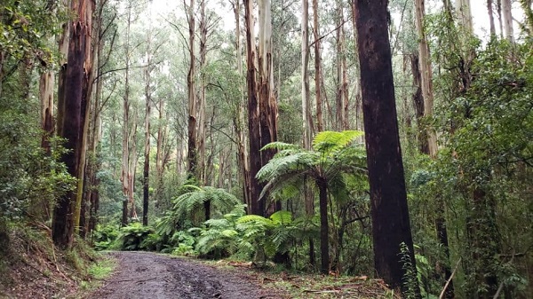 Foto - Bu yollarda yürümek cesaret istiyor! Dünyanın en tehlikeli yürüyüş yolları