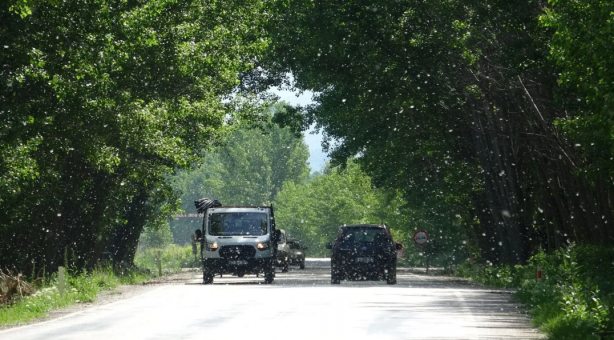 Foto - Bu yolun görünüşüne aldanmayın! İşte oradan geçenleri bekleyen tehlike