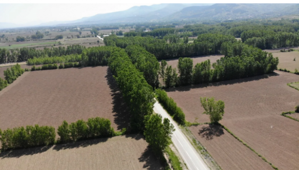Foto - Bu yolun görünüşüne aldanmayın! İşte oradan geçenleri bekleyen tehlike