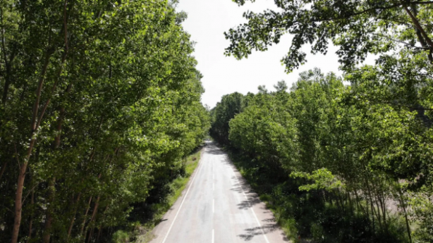 Foto - Bu yolun görünüşüne aldanmayın! İşte oradan geçenleri bekleyen tehlike